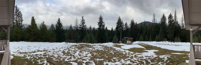 view of snowy yard