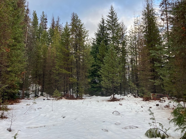 view of snowy landscape