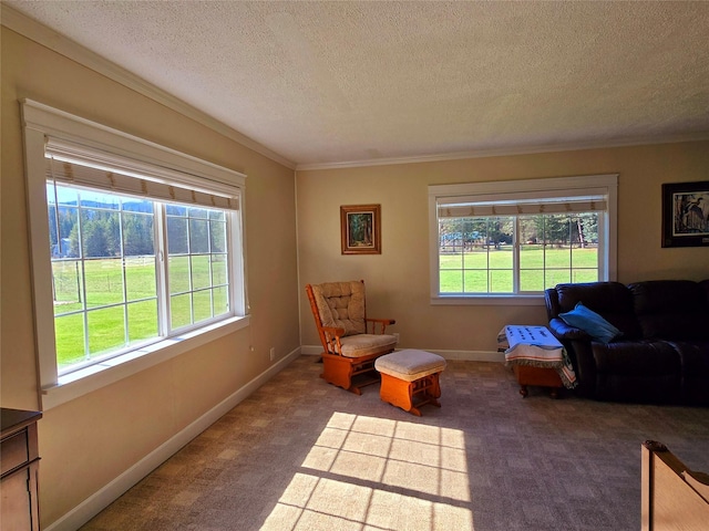 98 Railroad Ave, Heron, MT 59844 - living area featuring a textured ceiling, carpet floors, ornamental molding, and baseboards