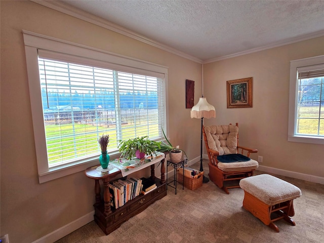 98 Railroad Ave, Heron, MT 59844 - sitting room with crown molding, a textured ceiling, baseboards, and carpet floors