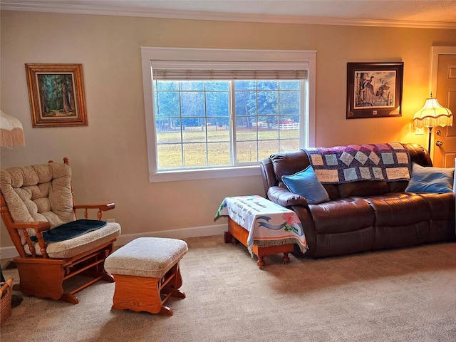 carpeted living area with baseboards and crown molding