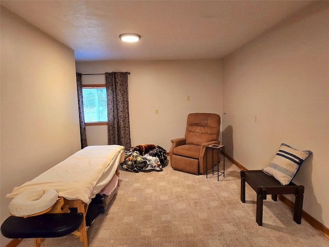 living area with light colored carpet