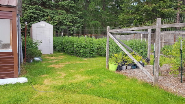 view of yard with a shed