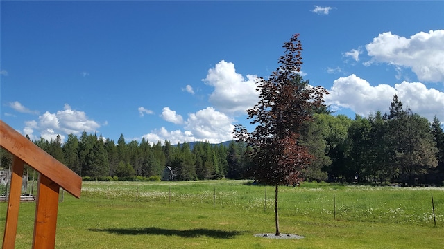 view of yard with a rural view