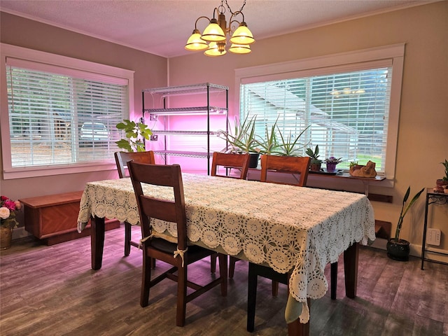 dining room with a healthy amount of sunlight, dark wood-type flooring, and a chandelier