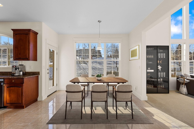 carpeted dining space featuring a healthy amount of sunlight