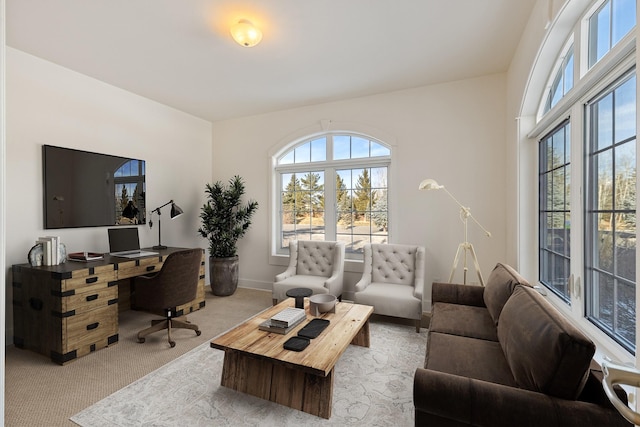 view of carpeted living room