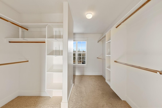 walk in closet with light colored carpet