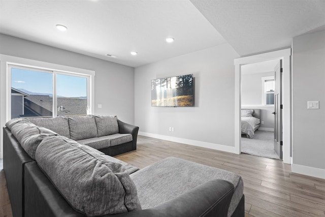 living room featuring hardwood / wood-style floors