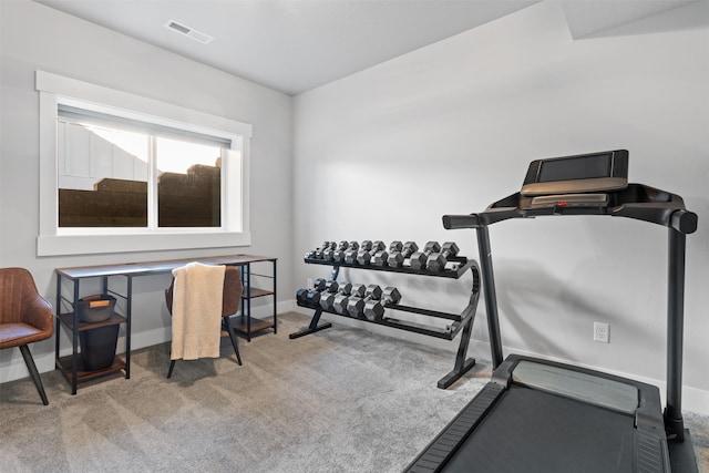 workout room featuring carpet floors