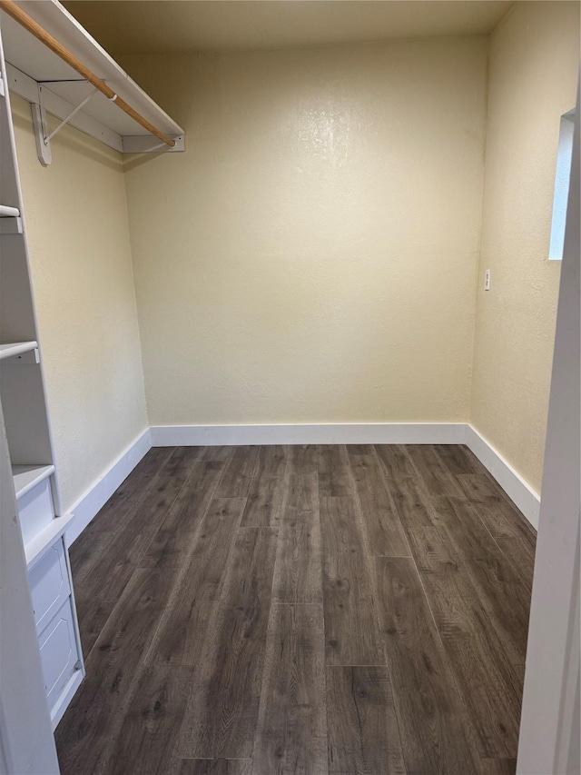 spacious closet with dark hardwood / wood-style floors