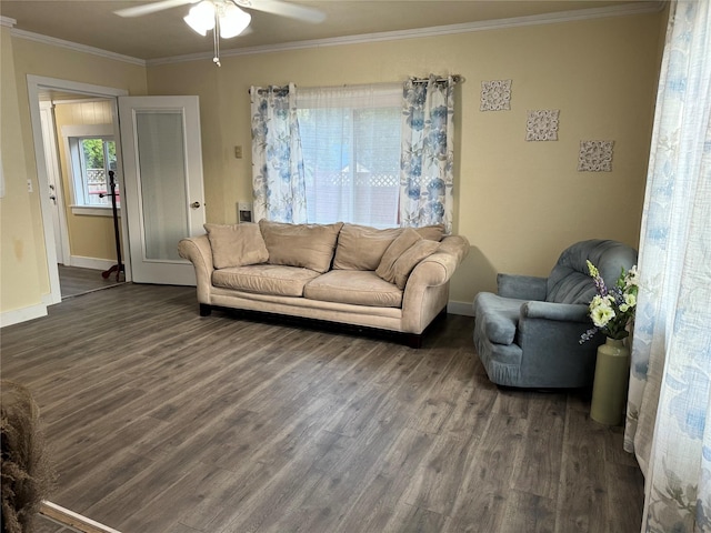 living room with ceiling fan, crown molding, and dark wood-type flooring