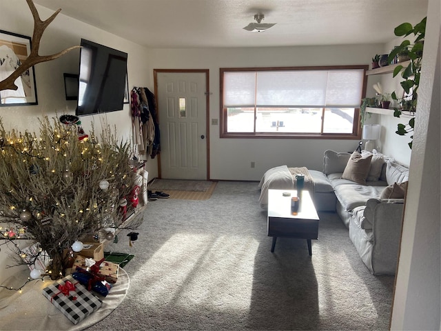 living room featuring carpet floors