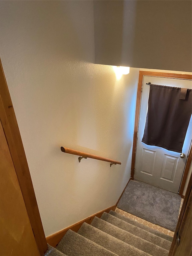 staircase with carpet floors