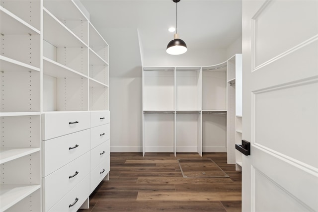 spacious closet with dark wood-type flooring