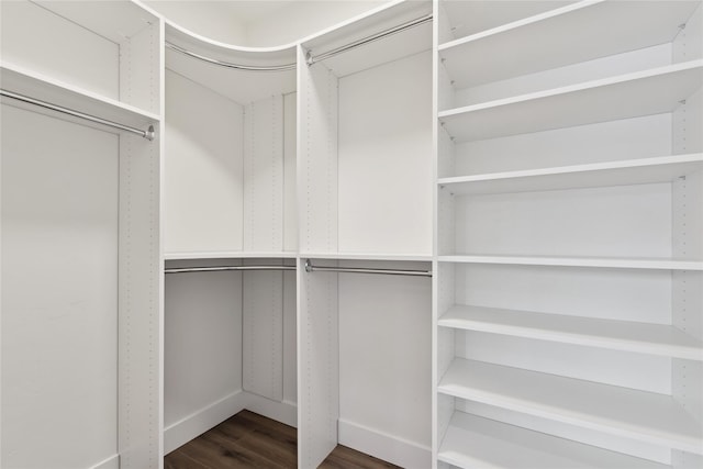 walk in closet with wood finished floors