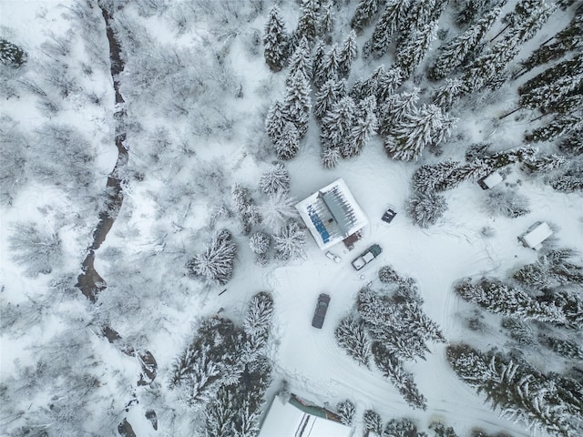 view of snowy aerial view