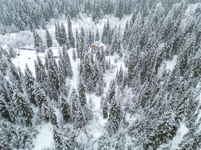 view of snowy aerial view