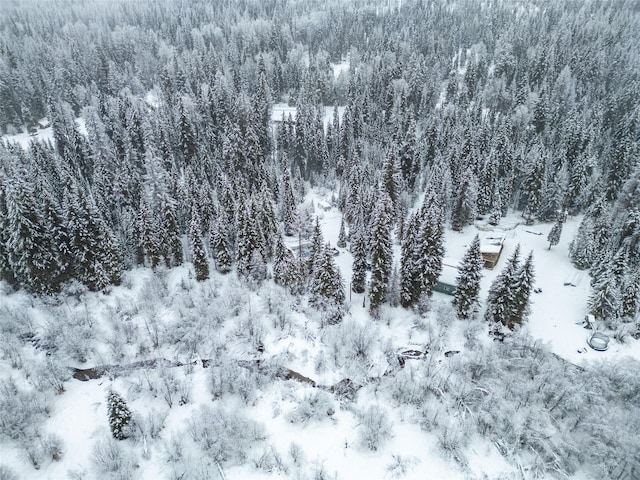 view of snowy aerial view