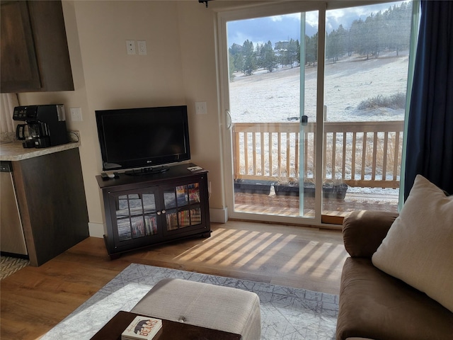 living room with light hardwood / wood-style floors