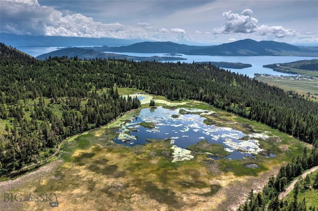 bird's eye view featuring a water and mountain view