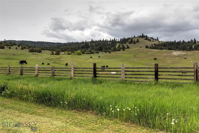 view of yard with a rural view