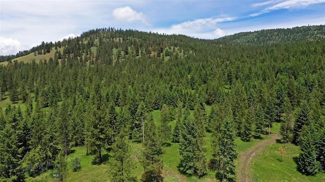 property view of mountains