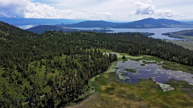 bird's eye view with a water and mountain view