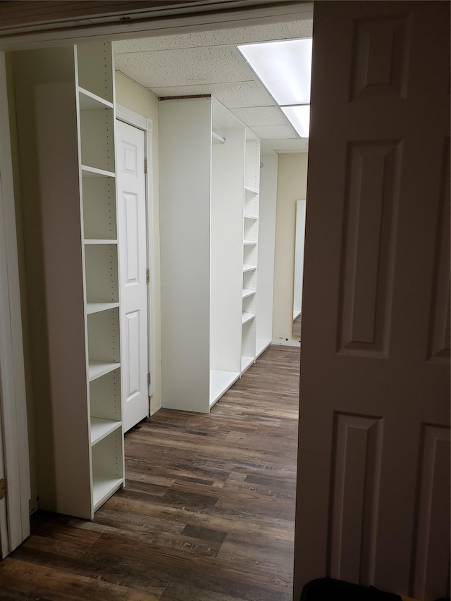 corridor with a paneled ceiling and dark hardwood / wood-style flooring