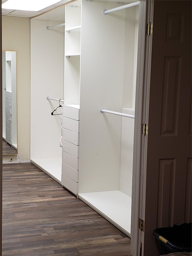 bathroom with wood-type flooring