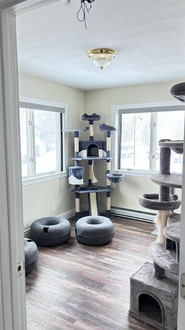 interior space featuring hardwood / wood-style floors and a baseboard heating unit