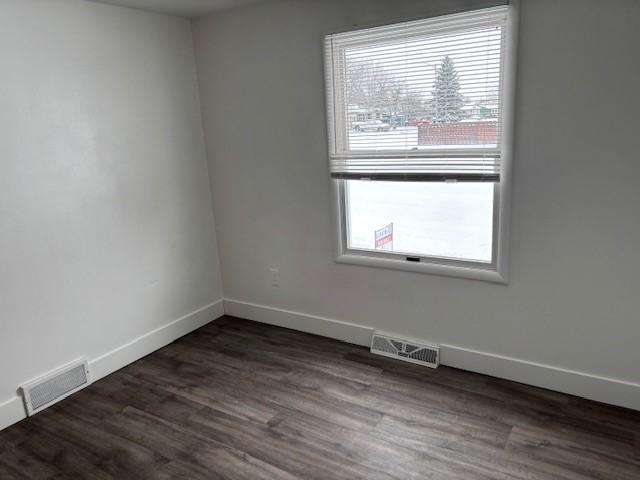 unfurnished room featuring plenty of natural light and dark wood-type flooring