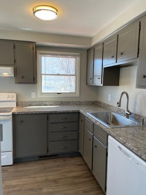 kitchen featuring white appliances, dark wood-type flooring, sink, gray cabinets, and range hood