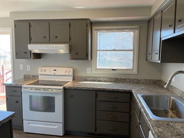 kitchen featuring sink, white electric stove, dark hardwood / wood-style floors, gray cabinets, and light stone countertops