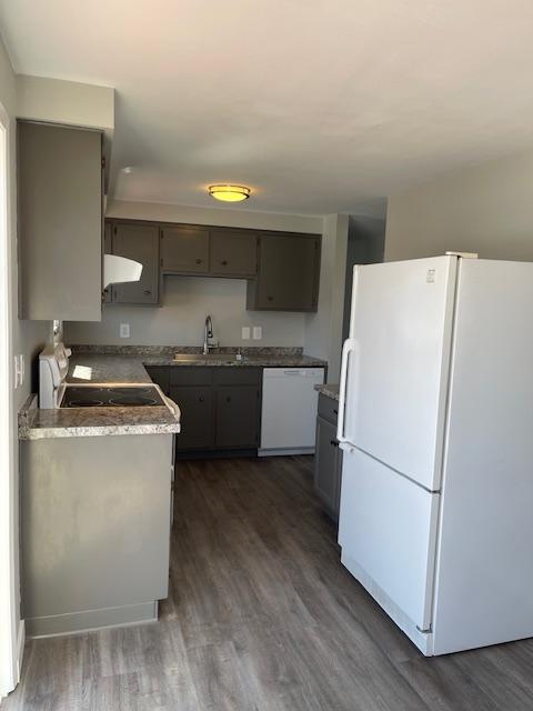 kitchen featuring gray cabinetry, white appliances, dark wood-type flooring, exhaust hood, and sink