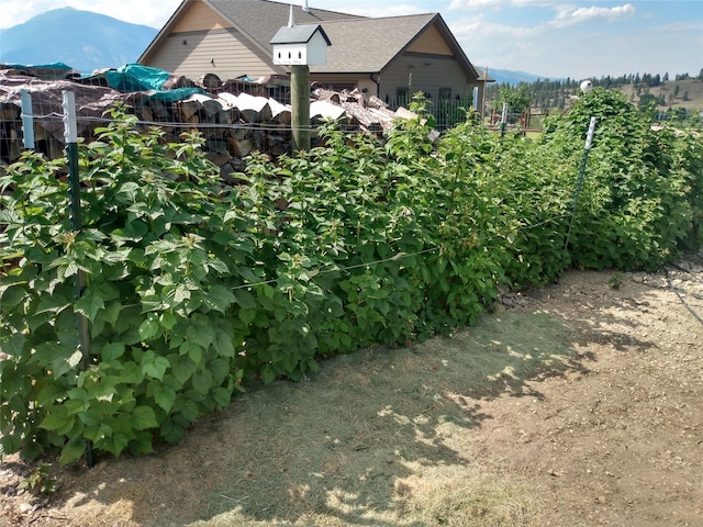 view of yard with a mountain view