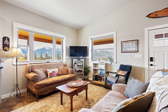 living room featuring vaulted ceiling