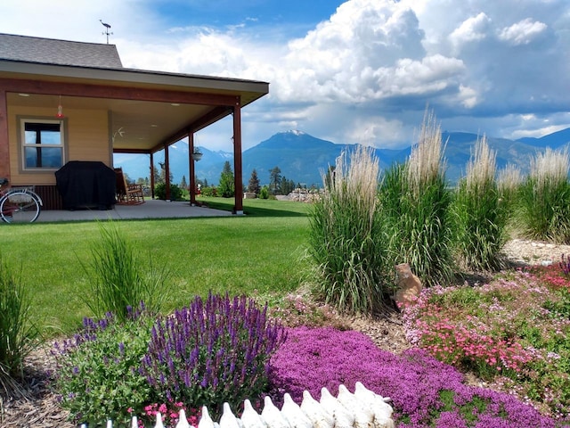 view of yard with a mountain view and a patio area