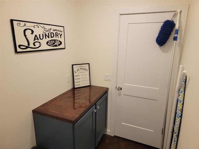 entryway featuring dark hardwood / wood-style flooring