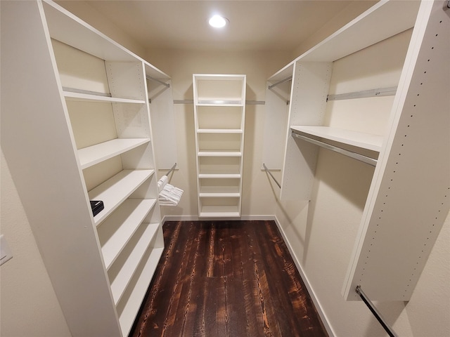 walk in closet featuring dark hardwood / wood-style flooring