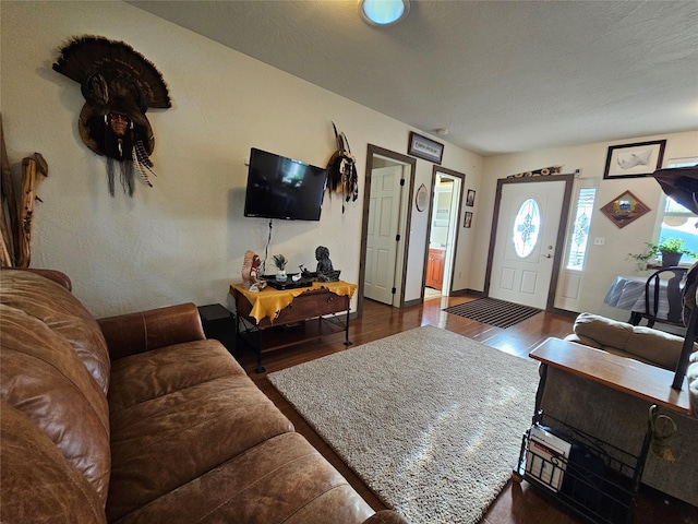 living room with dark hardwood / wood-style flooring