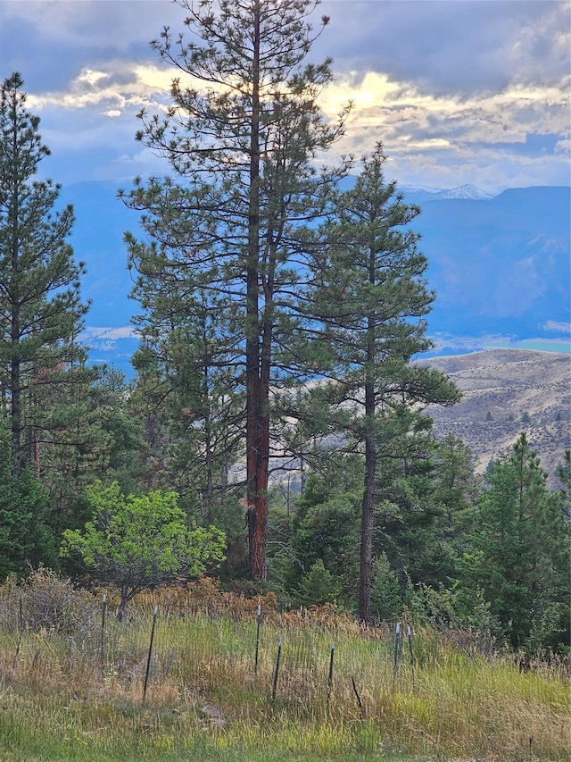 view of mountain feature