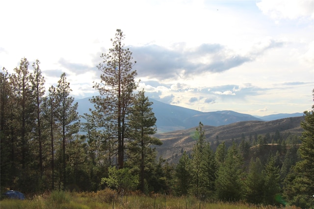 view of mountain feature