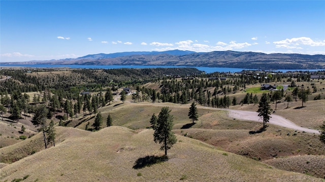 Listing photo 3 for 8461 Eagle View Rd, Helena MT 59602