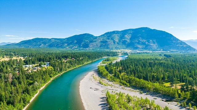 view of mountain feature with a wooded view and a water view