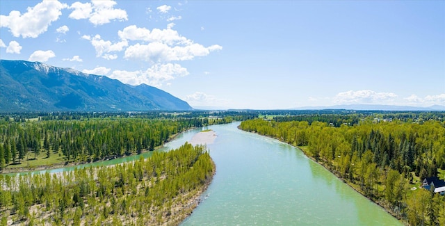 mountain view with a forest view and a water view