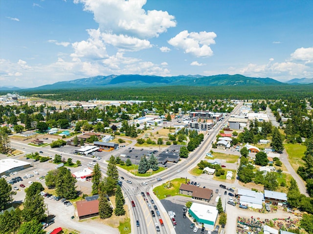 birds eye view of property featuring a mountain view