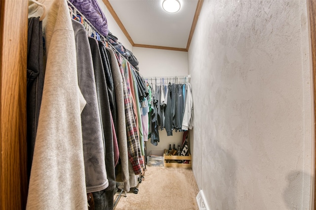 walk in closet featuring carpet flooring