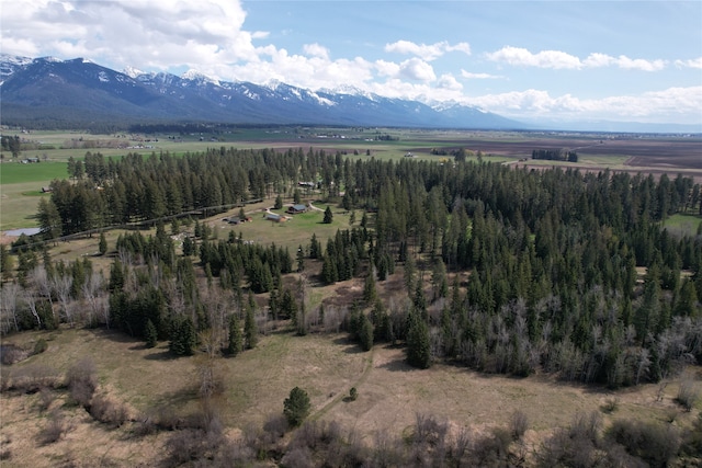 42420 Holt Ranch Ln, Ronan, MT 59864