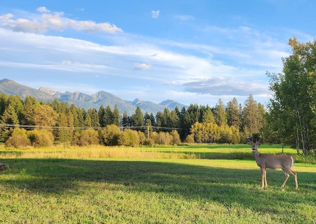 42420 Holt Ranch Ln, Ronan, MT 59864